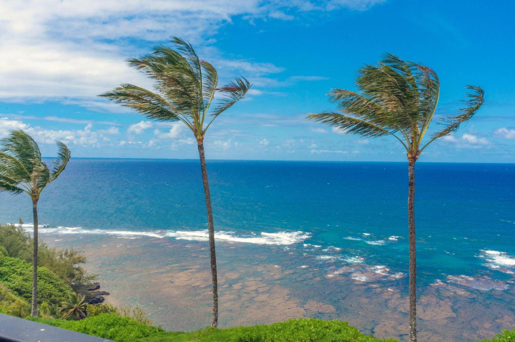 Sealodge C7 Princeville Eksteriør billede
